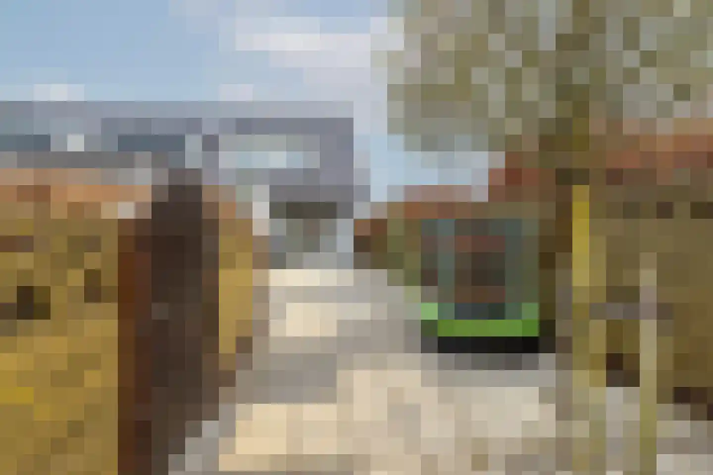 Madame Gresstraat 46 Rotterdam thumbnail 7