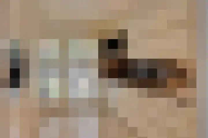 Madameperenlaan 32 Vleuten thumbnail 6