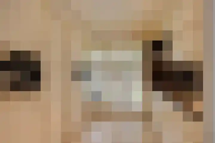 Madameperenlaan 32 Vleuten thumbnail 7