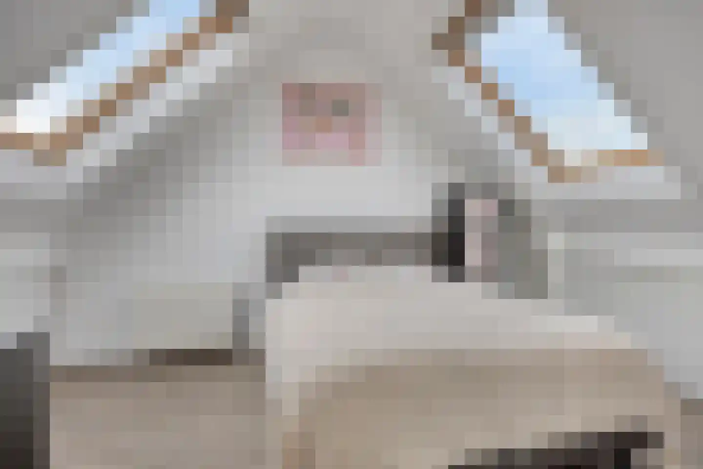 Madameperenlaan 40 Vleuten thumbnail 12