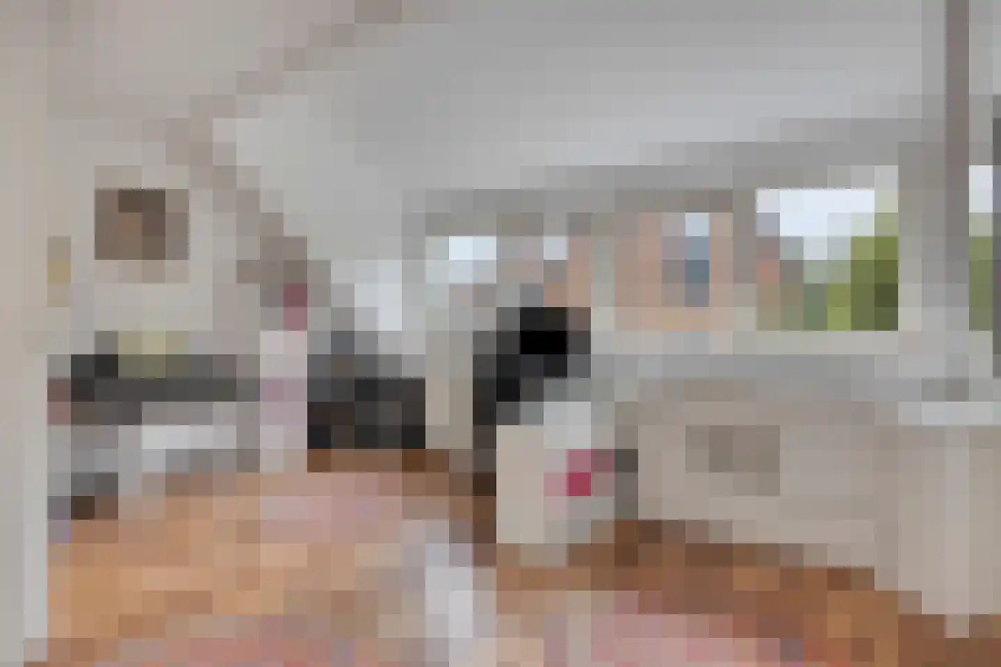 Madameperenlaan 40 Vleuten thumbnail 21