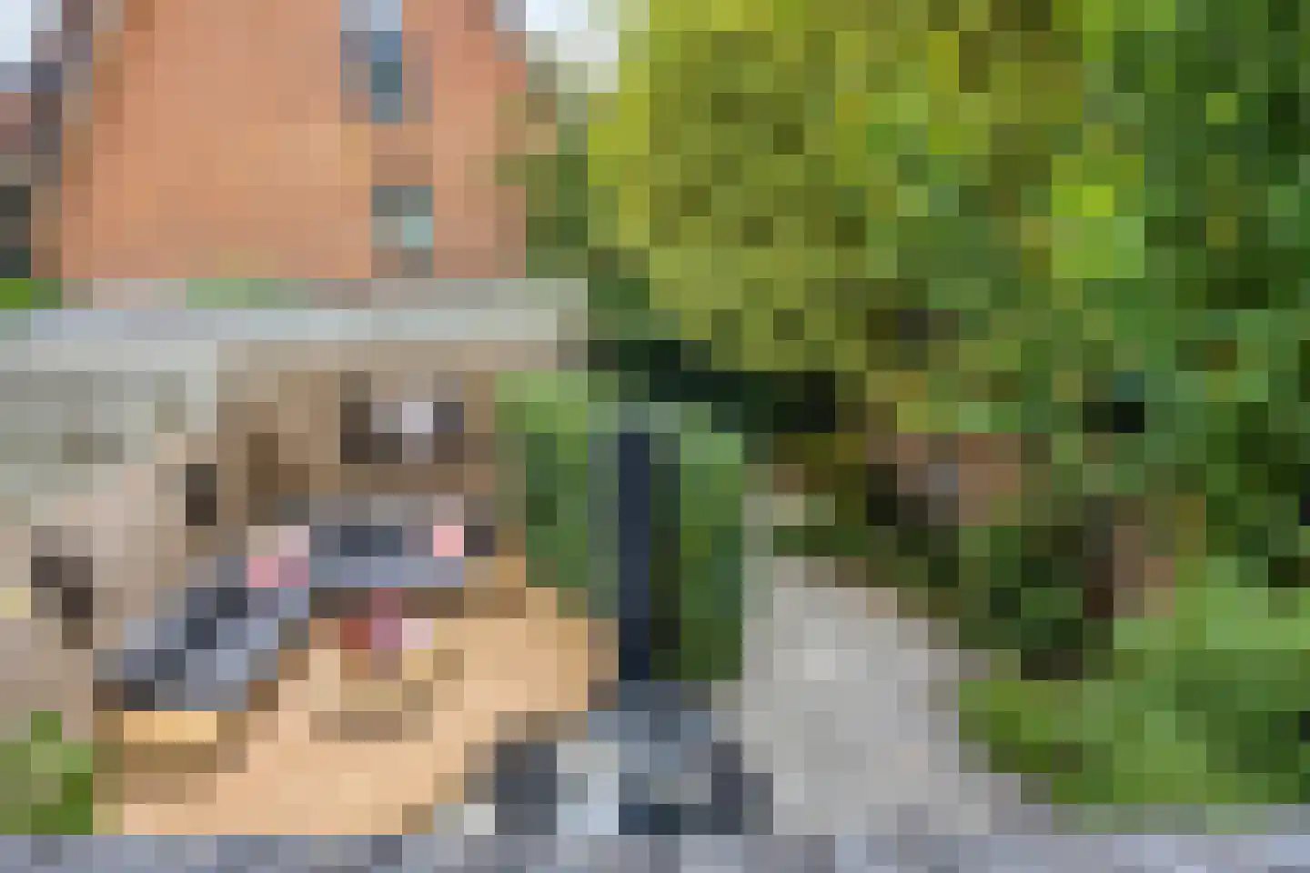 Madameperenlaan 40 Vleuten thumbnail 28