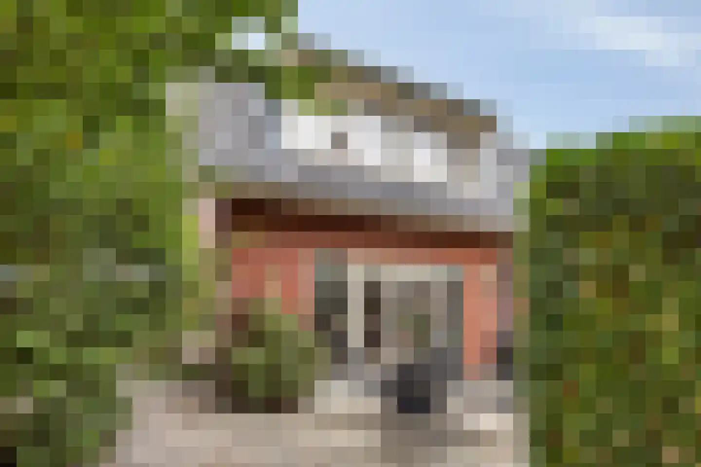 Madameperenlaan 40 Vleuten thumbnail 29