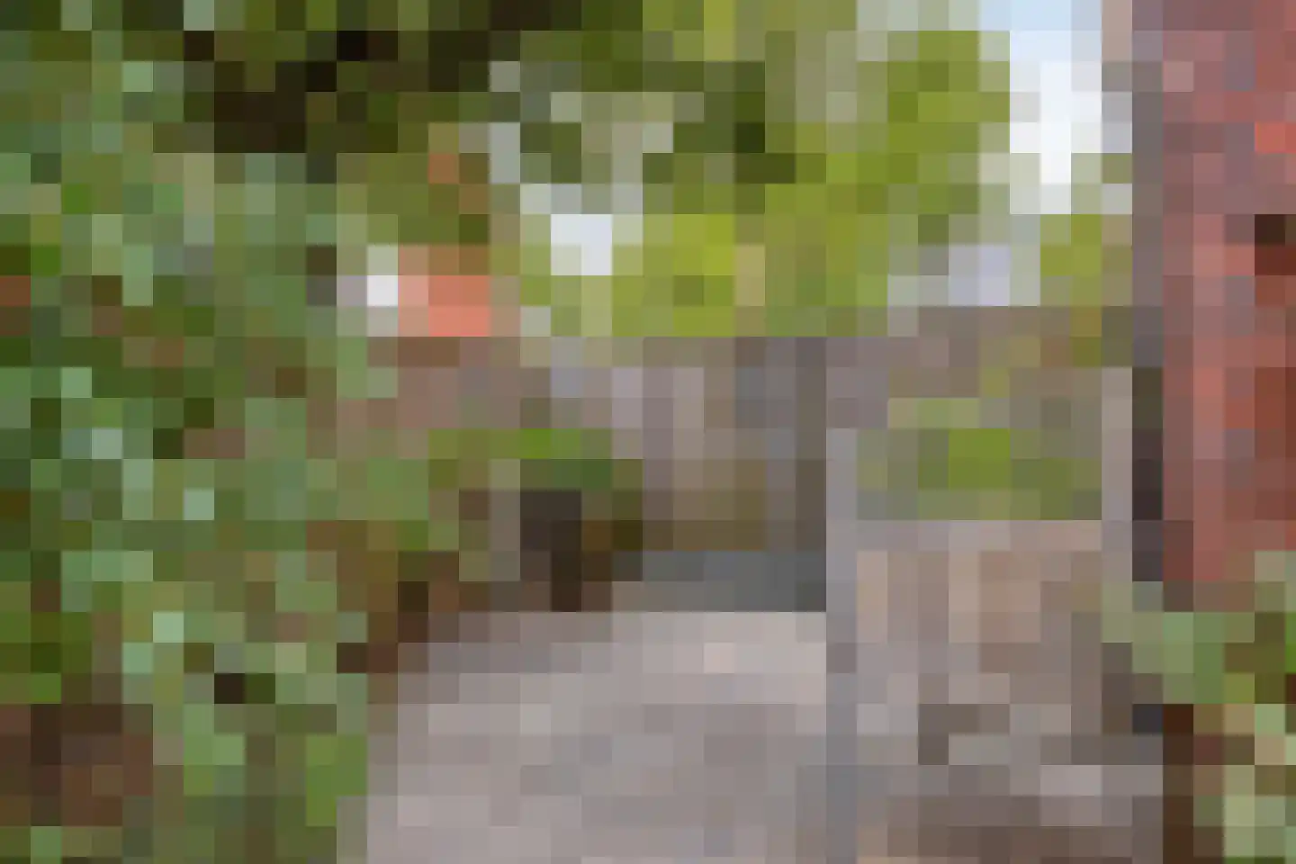 Madameperenlaan 40 Vleuten thumbnail 30