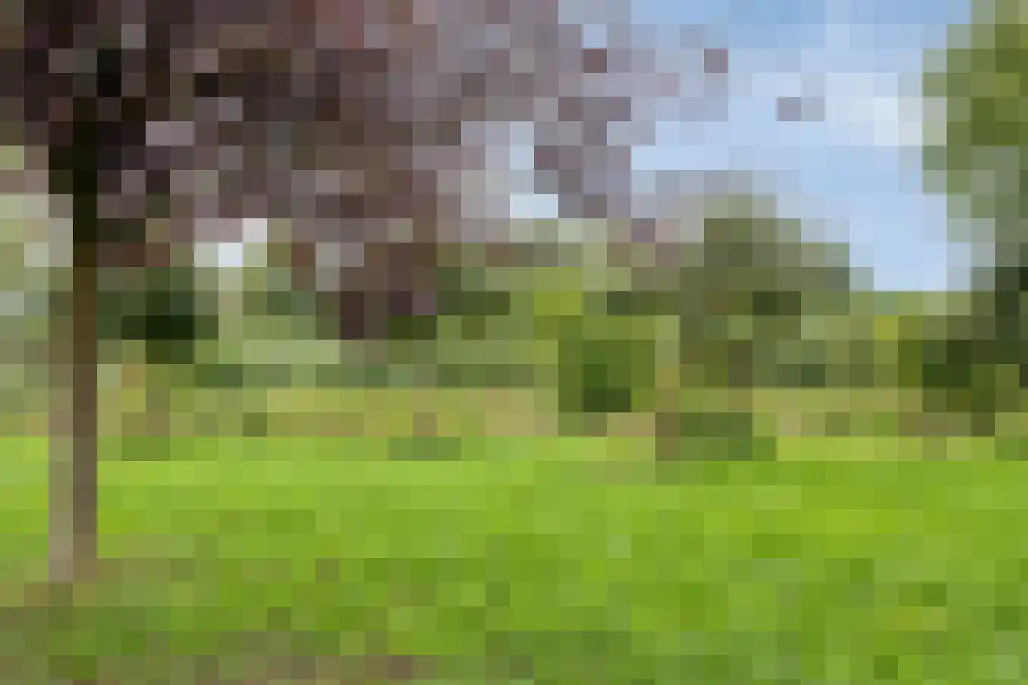 Madameperenlaan 40 Vleuten thumbnail 37