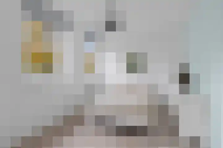 Madameperenlaan 85 Vleuten thumbnail 37
