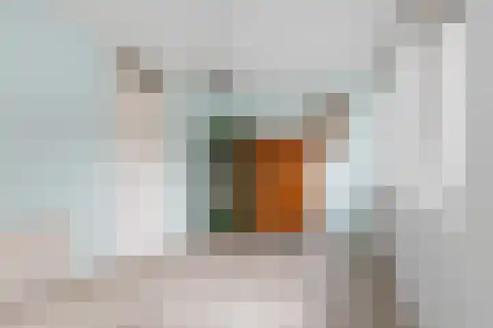 Madameperenlaan 85 Vleuten thumbnail 39