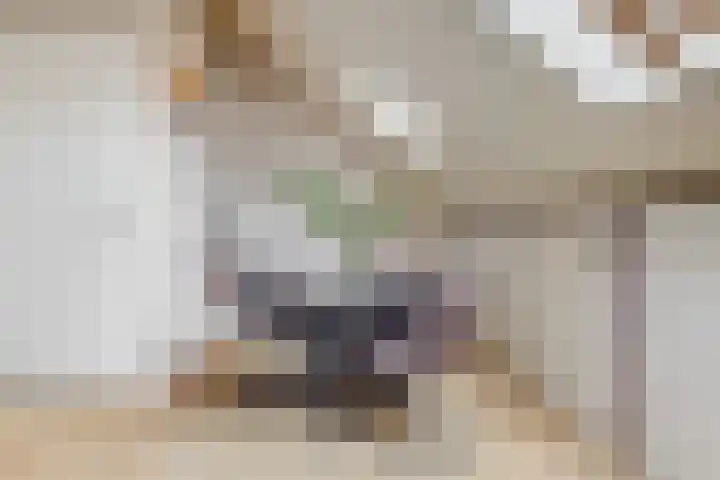Madameperenlaan 89 Vleuten thumbnail 20