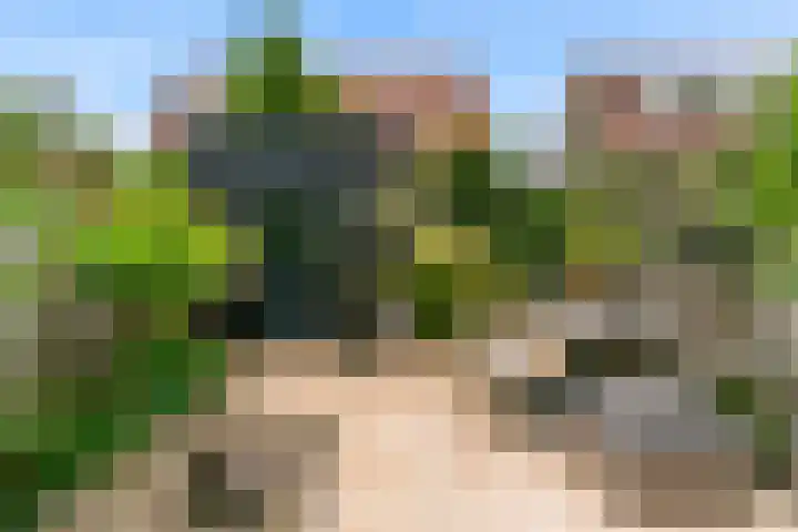 Madameperenlaan 89 Vleuten thumbnail 22