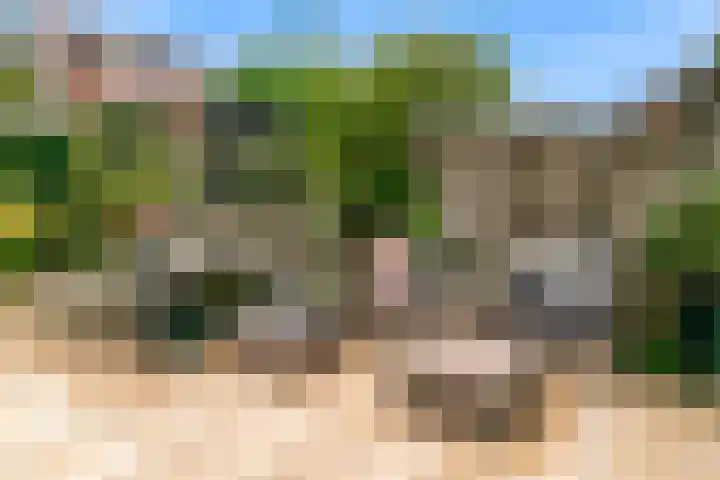 Madameperenlaan 89 Vleuten thumbnail 25
