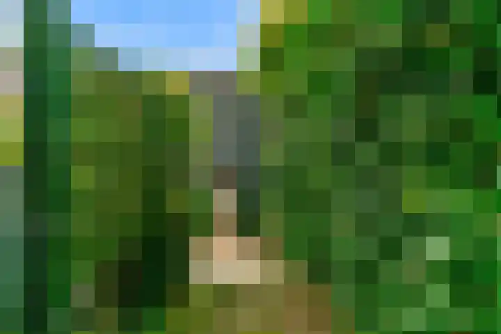 Madameperenlaan 89 Vleuten thumbnail 28