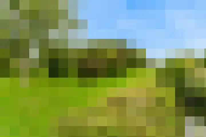 Madameperenlaan 89 Vleuten thumbnail 32