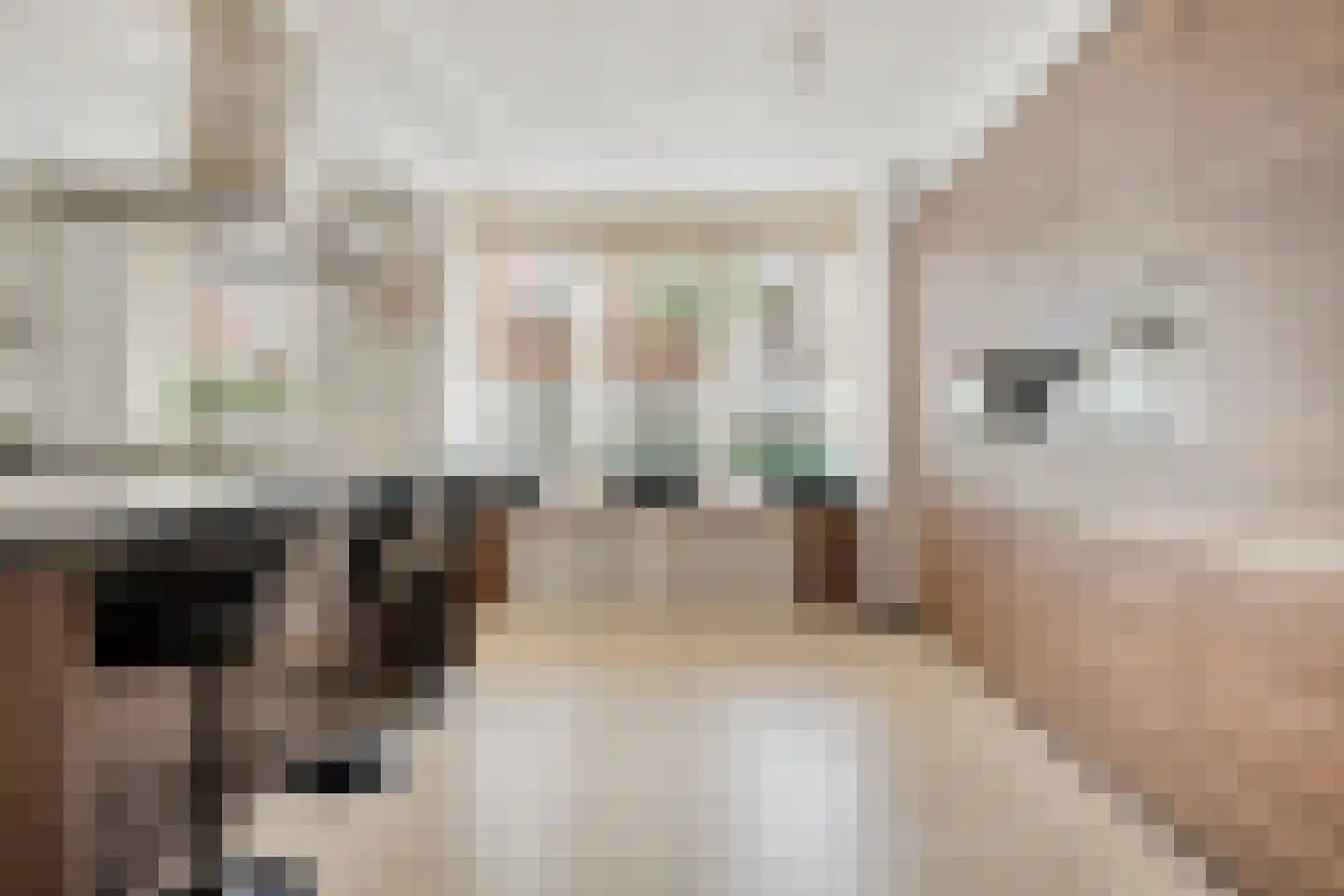 Madeira 3 Zoetermeer thumbnail 13