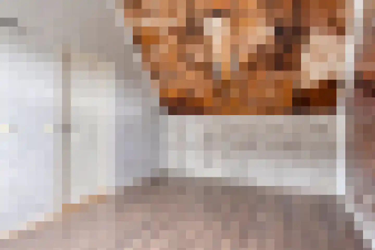 Madeira 3 Zoetermeer thumbnail 35