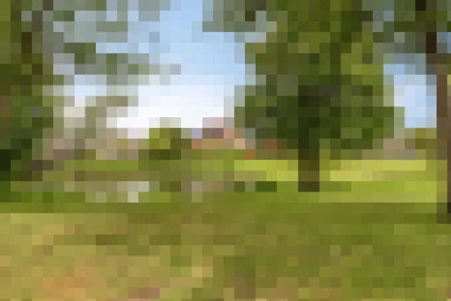 Madeira 3 Zoetermeer thumbnail 41