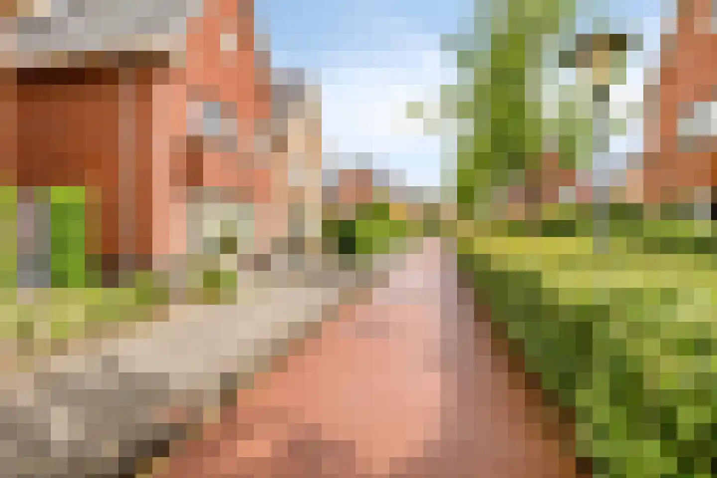 Madeira 3 Zoetermeer thumbnail 43