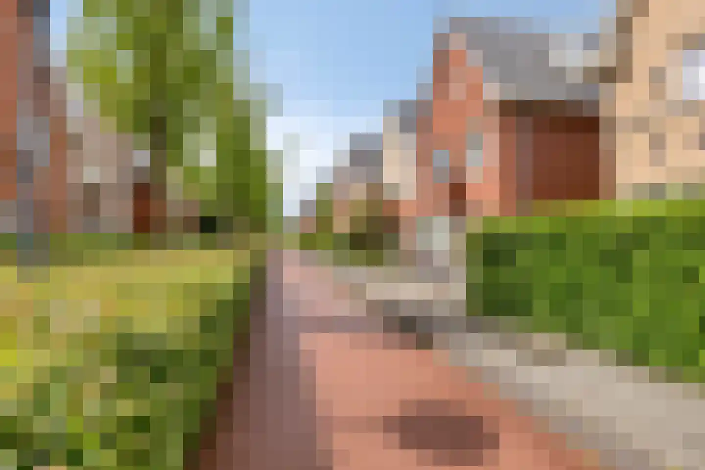 Madeira 3 Zoetermeer thumbnail 44