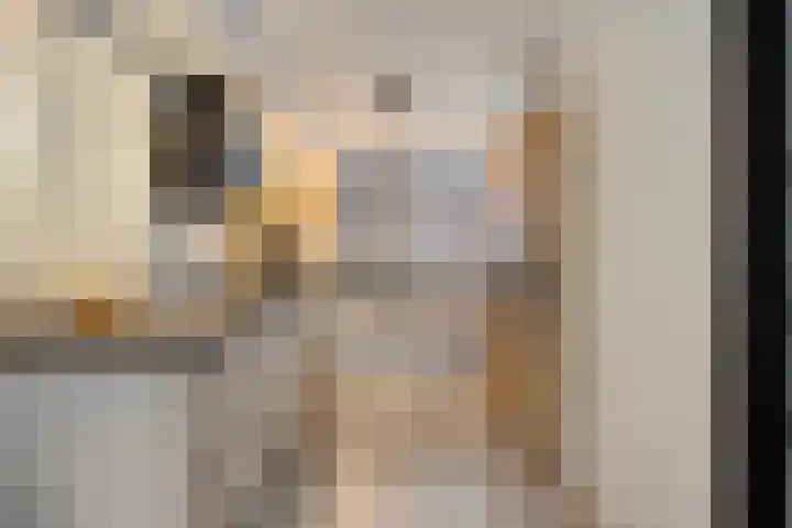 Madelief 10 Heerjansdam thumbnail 12