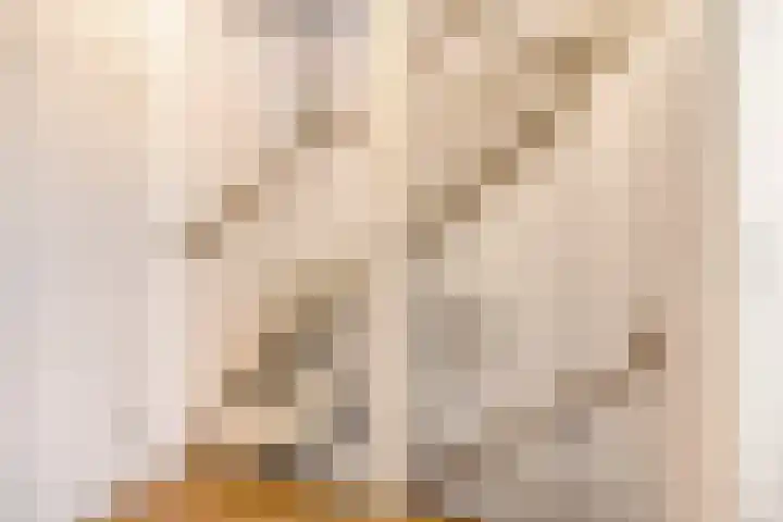 Madelief 10 Heerjansdam thumbnail 18