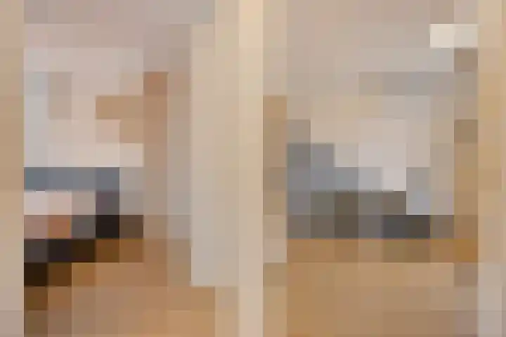 Madelief 10 Heerjansdam thumbnail 19