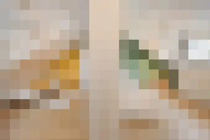 Madelief 10 Heerjansdam thumbnail 30