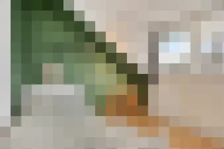 Madelief 10 Heerjansdam thumbnail 31