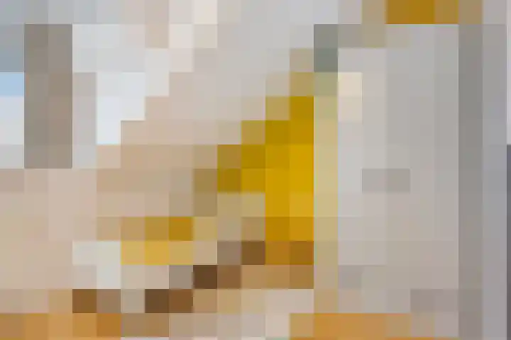 Madelief 10 Heerjansdam thumbnail 33