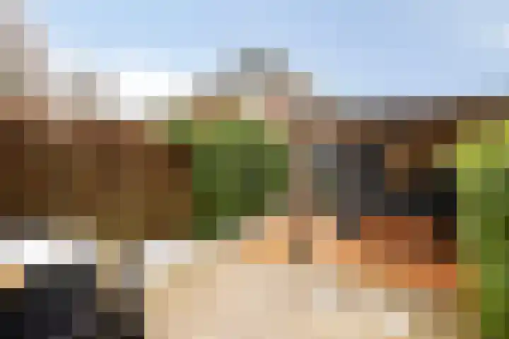 Madelief 10 Heerjansdam thumbnail 35