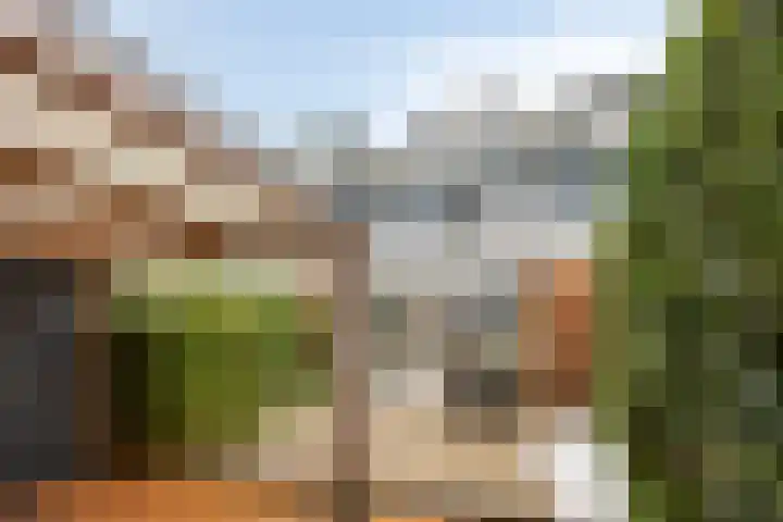 Madelief 10 Heerjansdam thumbnail 36