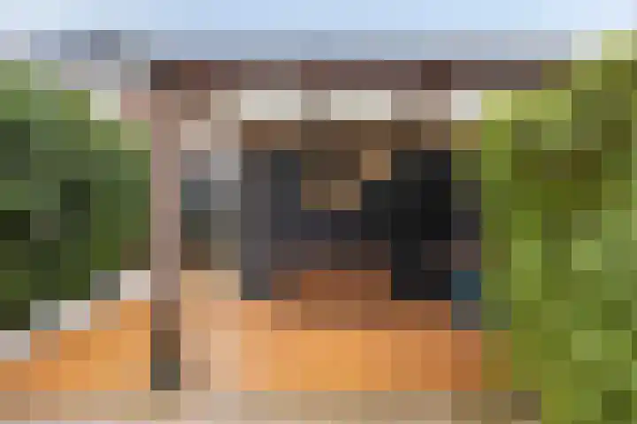 Madelief 10 Heerjansdam thumbnail 37