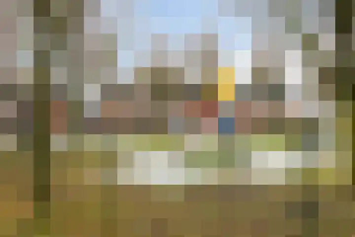 Madelief 10 Heerjansdam thumbnail 38