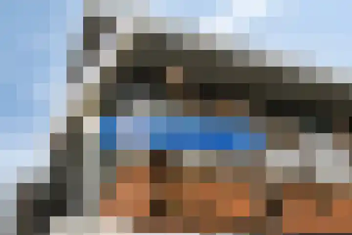 Madelief 10 Heerjansdam thumbnail 39