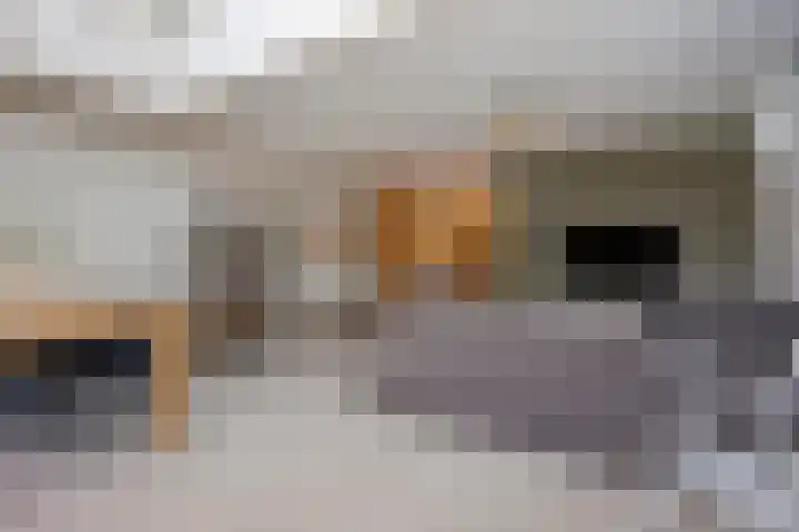 Madelief 10 Heerjansdam thumbnail 7