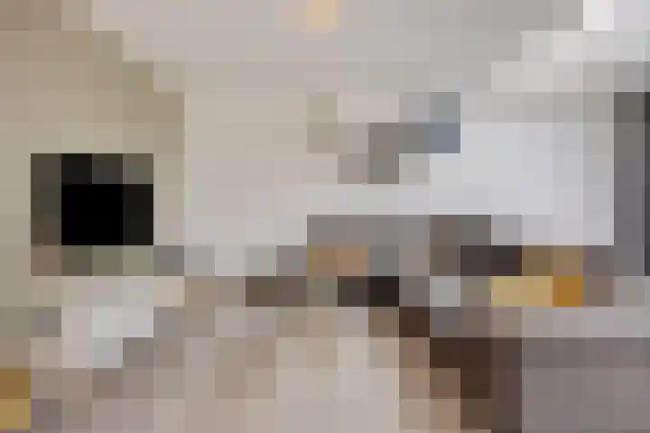 Madelief 10 Heerjansdam thumbnail 8