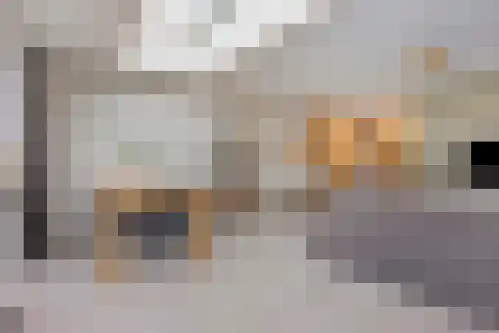 Madelief 10 Heerjansdam thumbnail 9