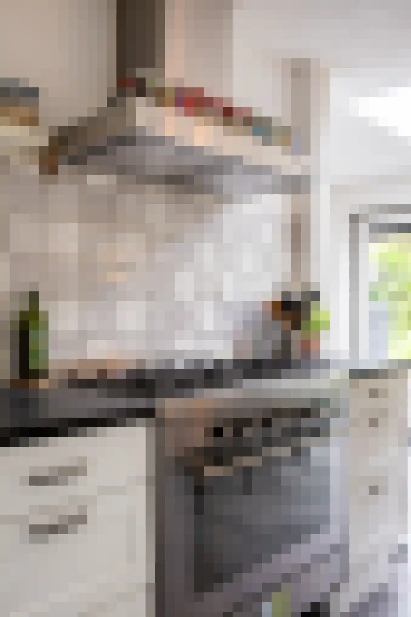 Madelief 11 Eelde thumbnail 10