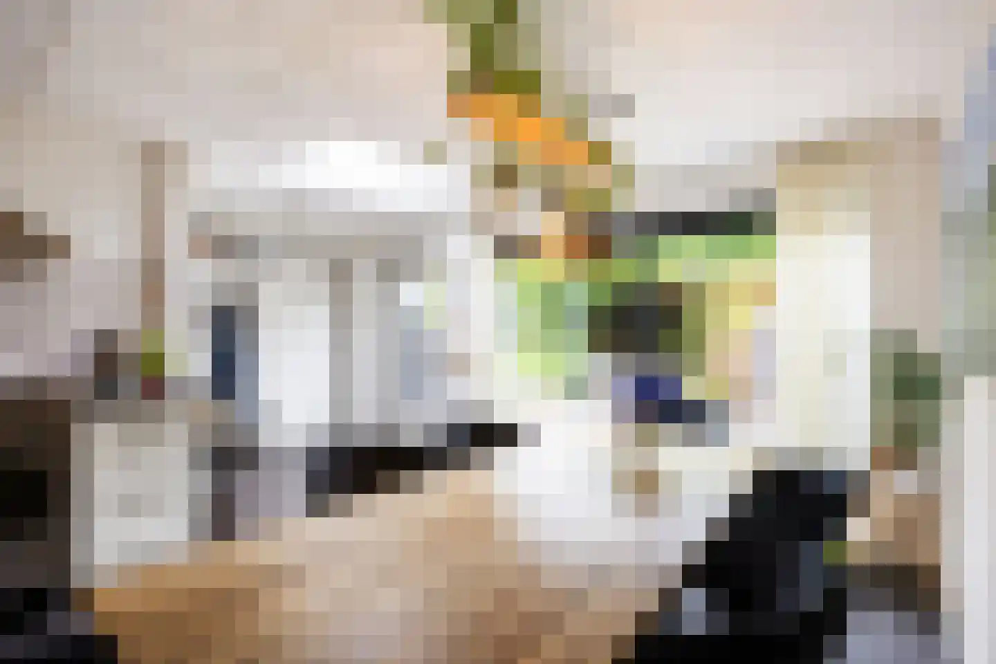 Madelief 11 Eelde thumbnail 11