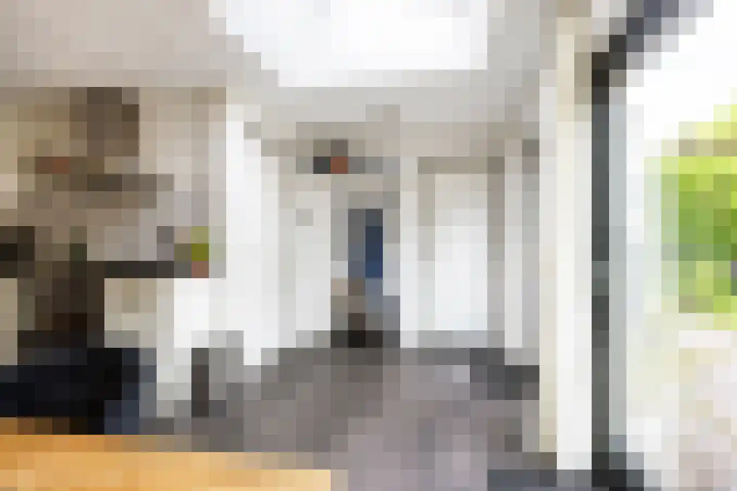 Madelief 11 Eelde thumbnail 12