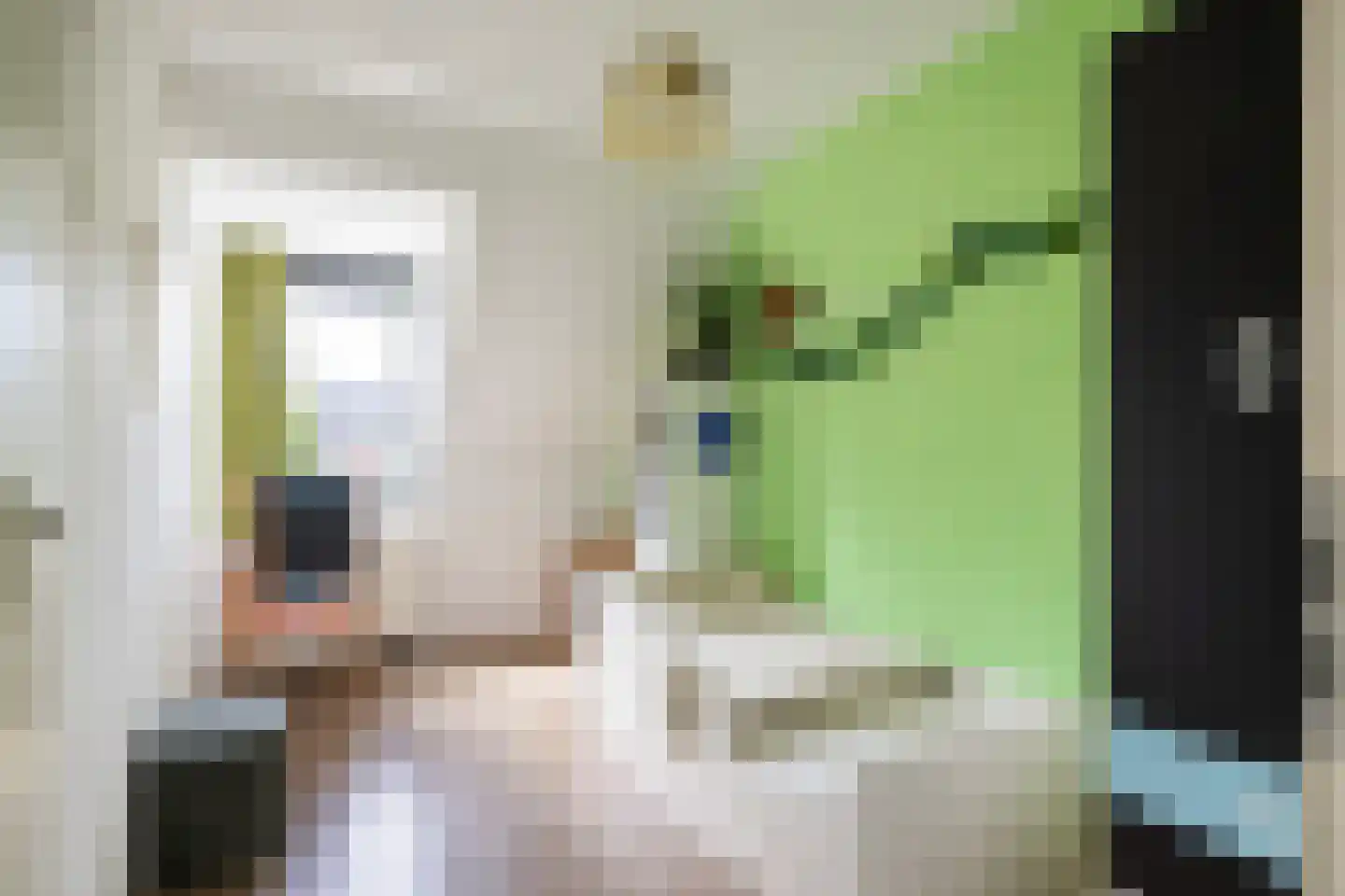Madelief 11 Eelde thumbnail 17
