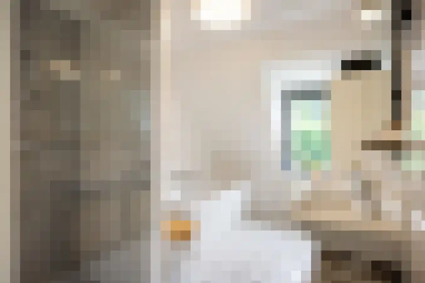 Madelief 11 Eelde thumbnail 20