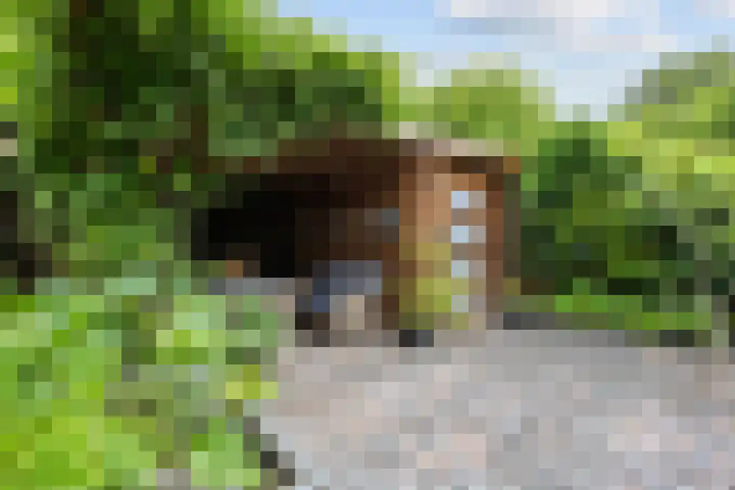 Madelief 11 Eelde thumbnail 27