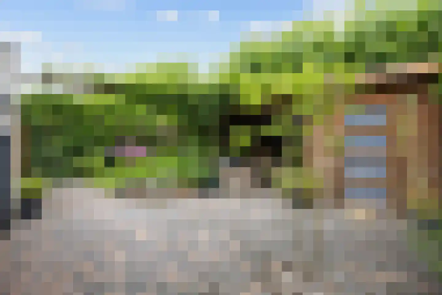 Madelief 11 Eelde thumbnail 28