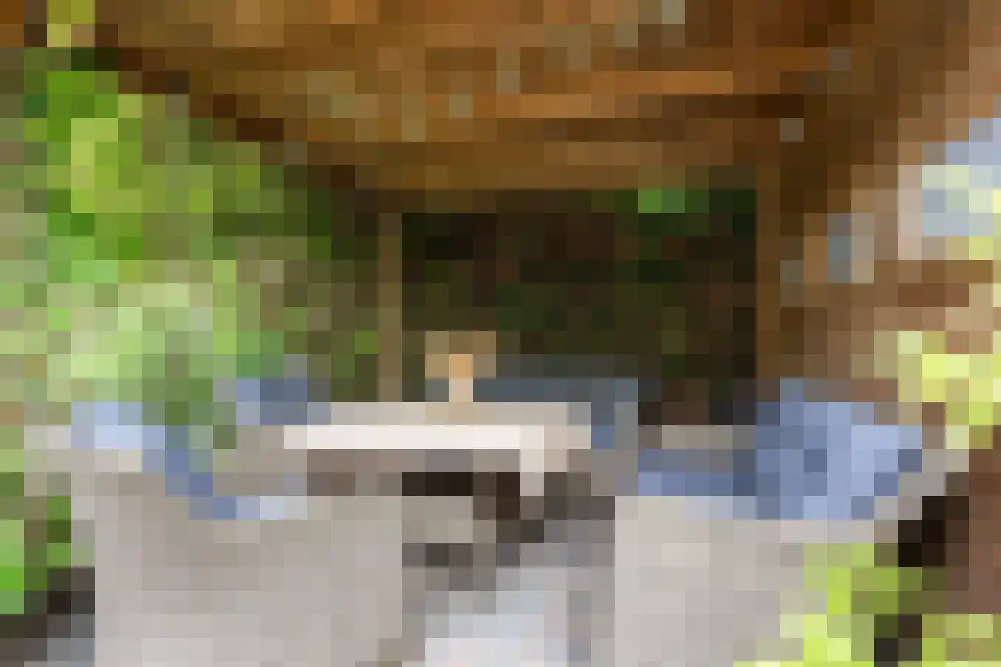 Madelief 11 Eelde thumbnail 29