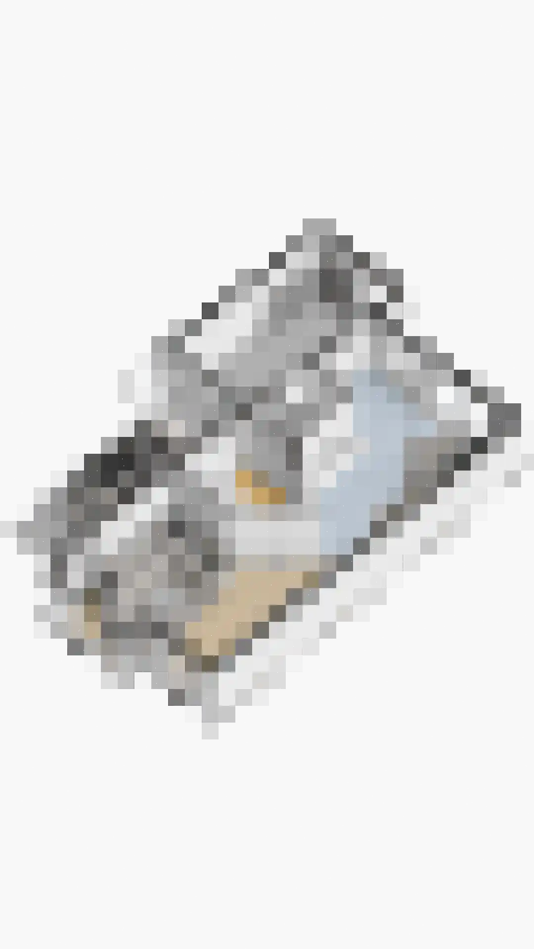 Madelief 11 Eelde thumbnail 32