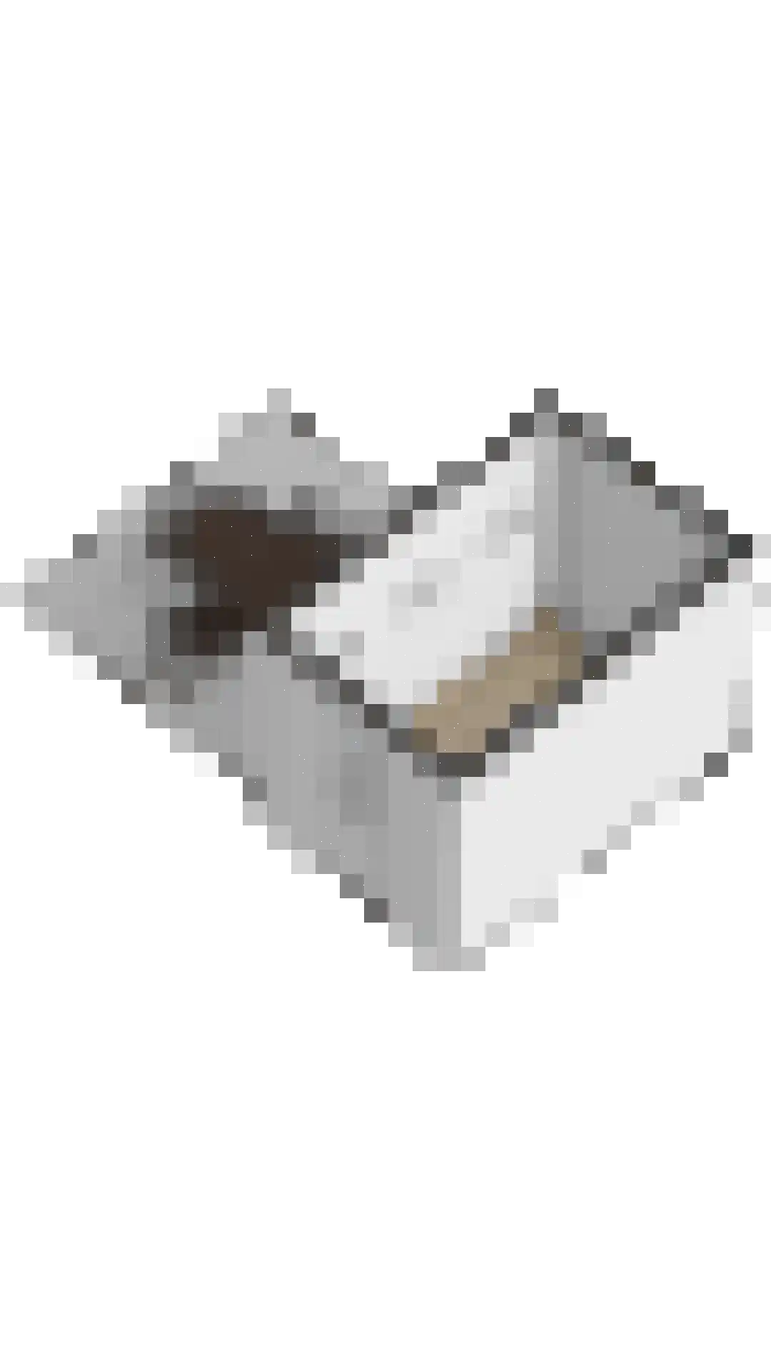 Madelief 11 Eelde thumbnail 38