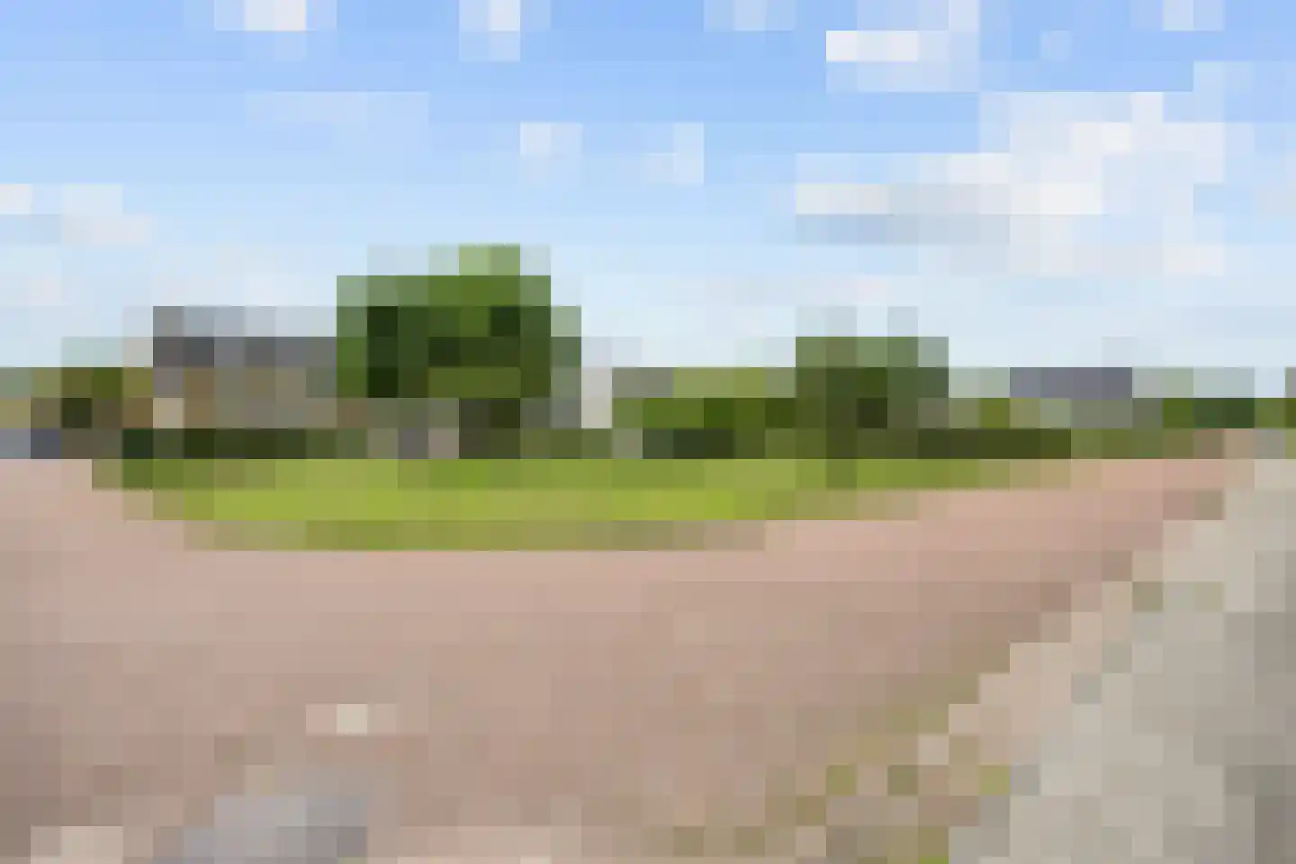 Madelief 11 Eelde thumbnail 4