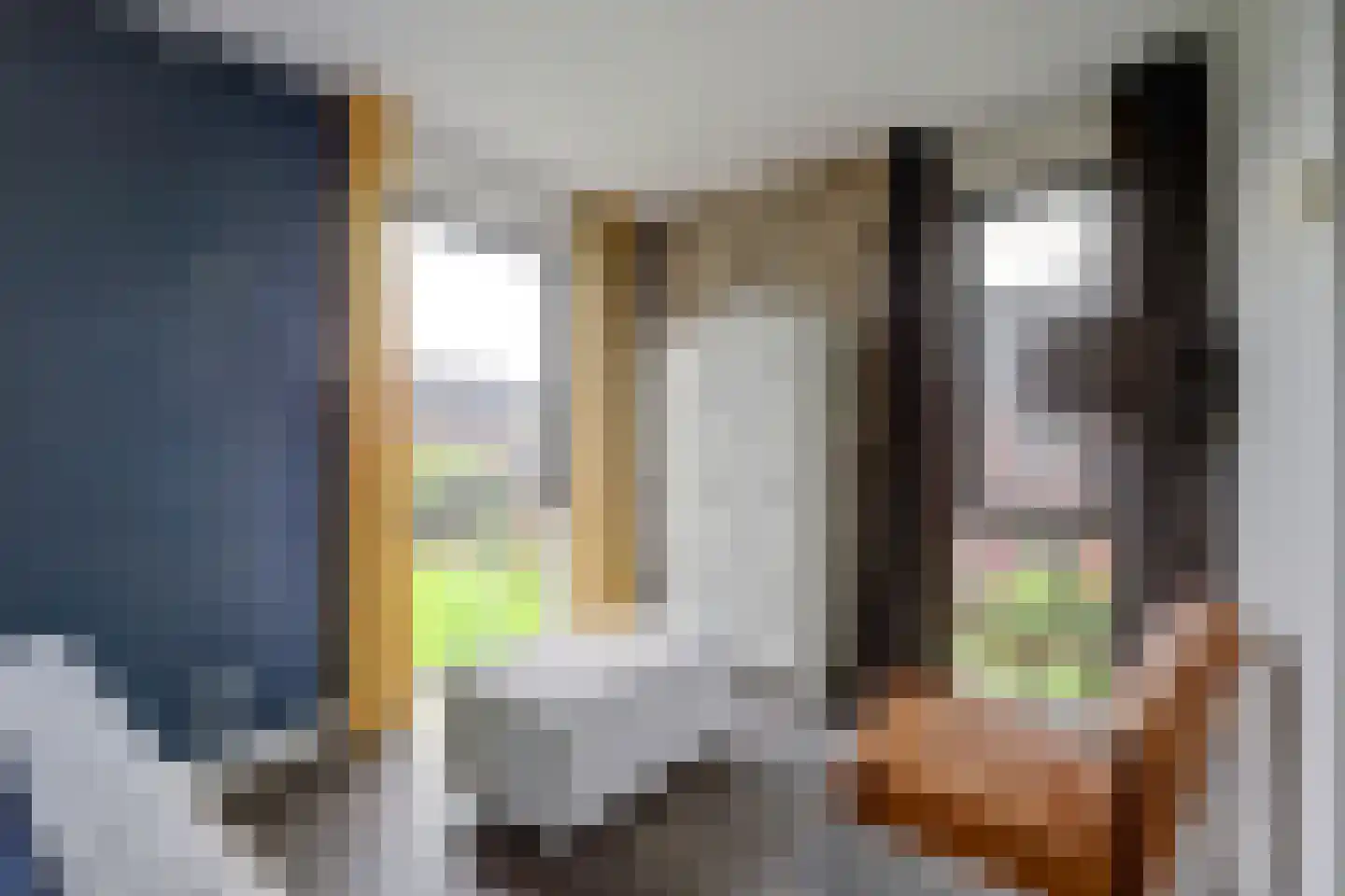 Madelief 14 Bodegraven thumbnail 10