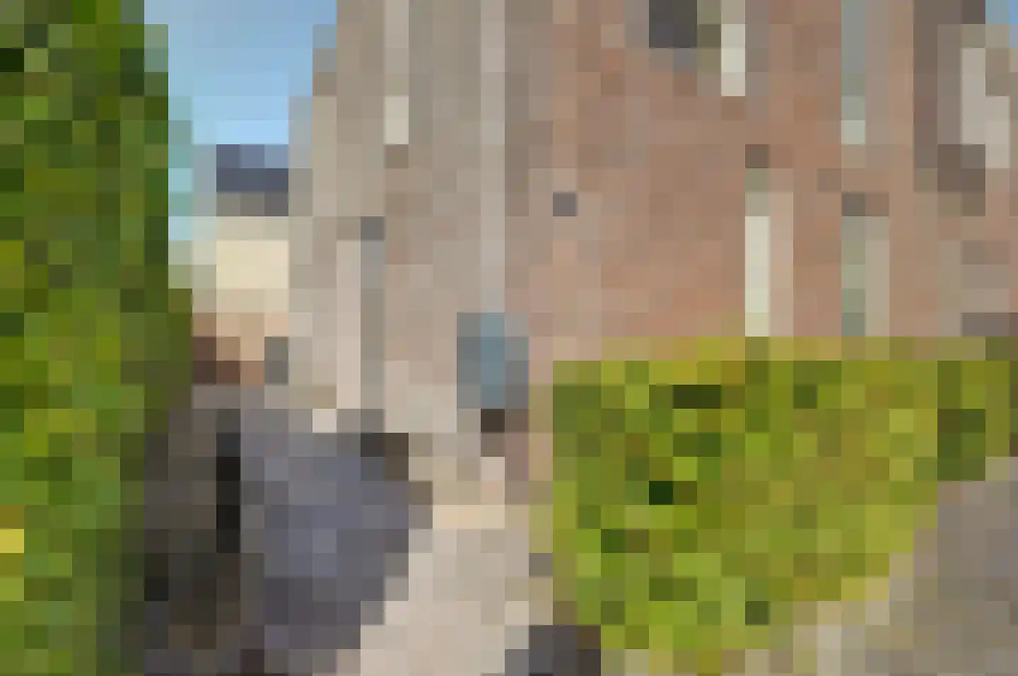 Madelief 14 Bodegraven thumbnail 14