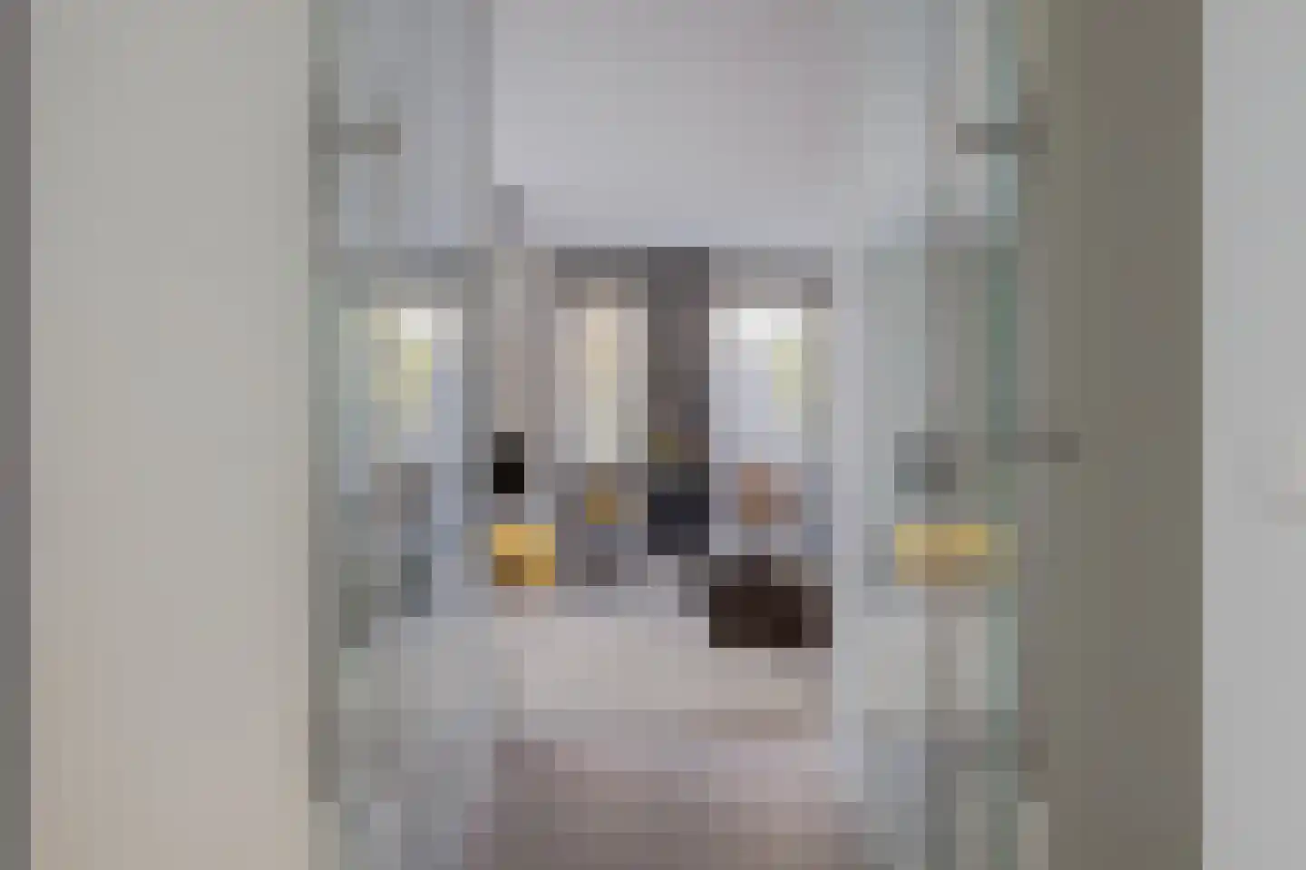 Madelief 14 Bodegraven thumbnail 17