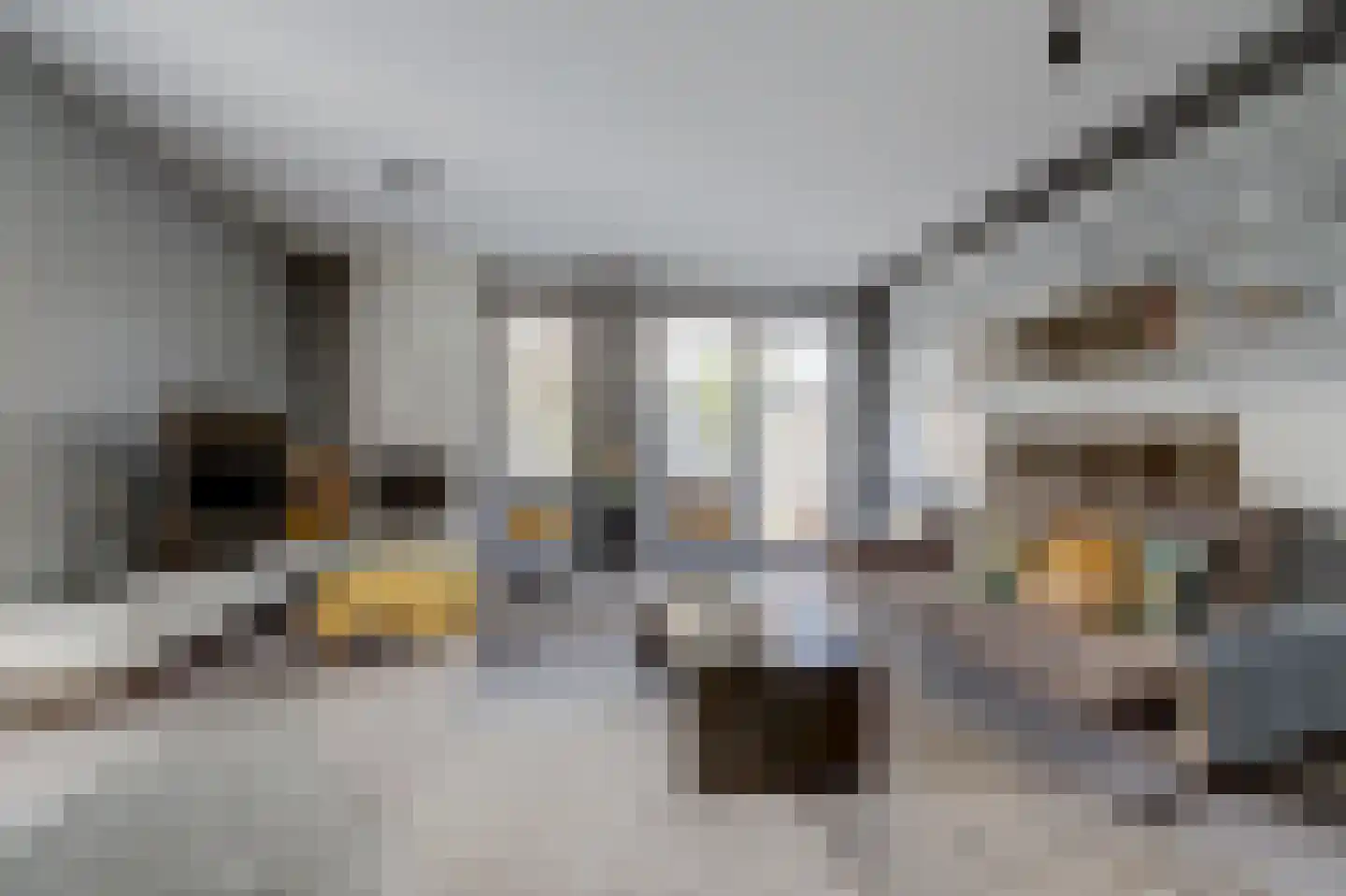 Madelief 14 Bodegraven thumbnail 18